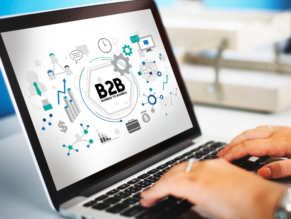 B2B WordPress development