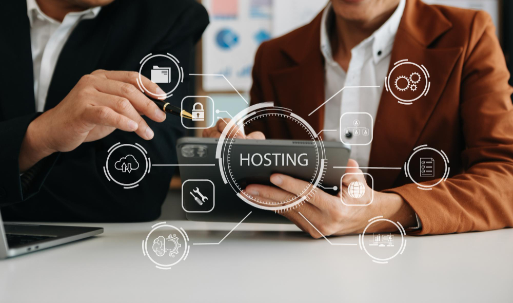 WordPress hosting consultation